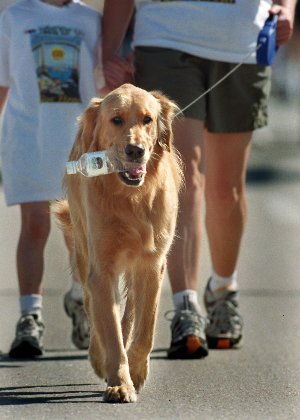 Race for the Paws 5K